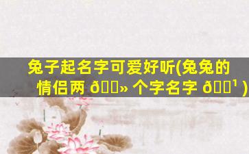 兔子起名字可爱好听(兔兔的情侣两 🌻 个字名字 🌹 )